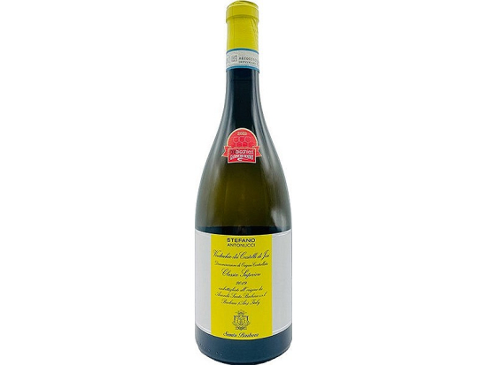 Verdicchio Classico Superiore DOC 2019