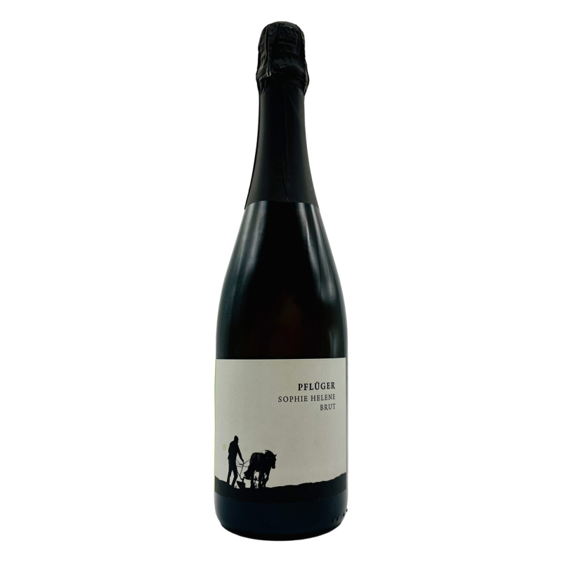 Rieslingsekt Sophie Helene brut Pflüger bio